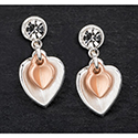 Earrings Matt Hearts